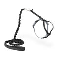 PetSafe Come with Me Kitty Harness and Bungee Cat Leash, Black, Small | Adjustable 2-Point Fit Applies Gentle Pressure to Shoulders, Not Neck, for Kittens and Small Cats with 9 in - 11 in Girth - color: black/fawn, size: Small (Pack of 1)