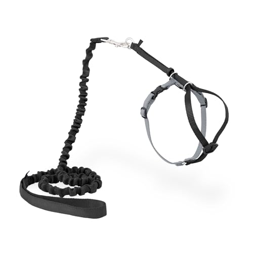 PetSafe Come with Me Kitty Harness and Bungee Cat Leash, Black, Small | Adjustable 2-Point Fit Applies Gentle Pressure to Shoulders, Not Neck, for Kittens and Small Cats with 9 in - 11 in Girth - color: black/fawn, size: Small (Pack of 1)