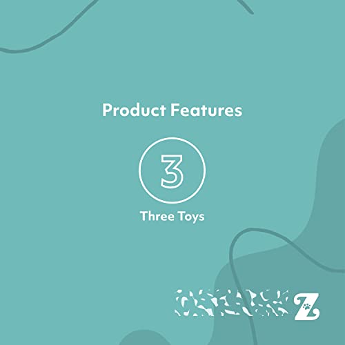 ZippyPaws Skinny Peltz for Medium and Large Dogs - Holiday 3-Pack | No Stuffing Dog Toys to Keep Them Busy, Squeaky Unstuffed Chew Toy for Pets, Soft Plush Variety Pack, Fox, Raccoon & Squirrel - style: Santa Fox, Raccoon, and Elf Squirrel - Large (3-pack