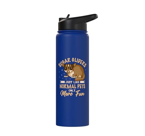 Australia Marsupial Wildlife Animal Lover Sugar Glider Stainless Steel Insulated Water Bottle - color: Royal Blue