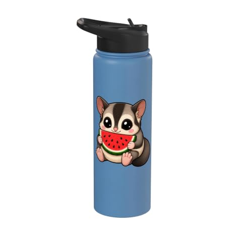 Cute Sugar Glider Summer Cartoon with Watermelon Stainless Steel Insulated Water Bottle - color: Light Blue