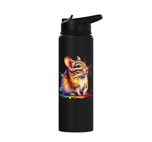 Degu Stainless Steel Insulated Water Bottle - color: Black