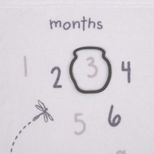 Disney Classic Winnie The Pooh, White, Grey & Lime Super Soft Milestone Baby Blanket, White, Grey, Lime, Charcoal - color: Disney Classic Winnie