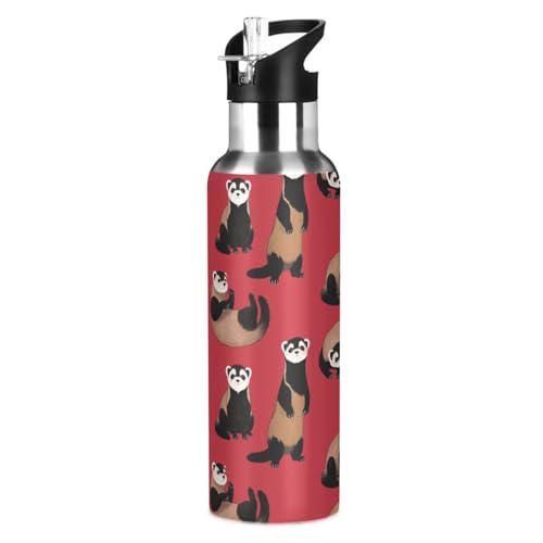 Ferrets Red Water Bottle Kids Stainless Steel Water Bottle with Straw Lid, Leak Proof Boys Girls Insulated Tumbler Cup for School 20 oz - color: Multi34
