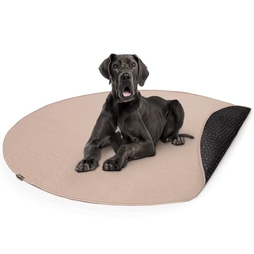 Paw Inspired Round Washable Pee Pads for Dogs, 72" Extra Large Size - size: 72" (1 pack)