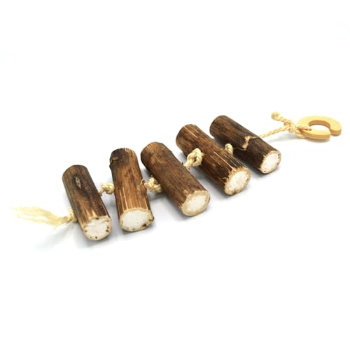 Oxbow Enriched Life Hanging Sunflower Chew Small animal enrichment chew toy - style: Sunflower Chew