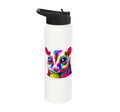 Colorful Pop Art Sugar Glider Sugar Gliders Stainless Steel Insulated Water Bottle - color: White