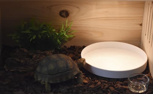 OMEM Reptile Food Bowl Water Dish,Feeding Dish, Birds Bowl (L, White) - color: White, size: L