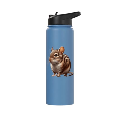 Degu Design Stainless Steel Insulated Water Bottle - color: Light Blue