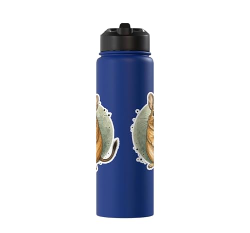 Degu Watercolor Circle Stainless Steel Insulated Water Bottle - color: Royal Blue