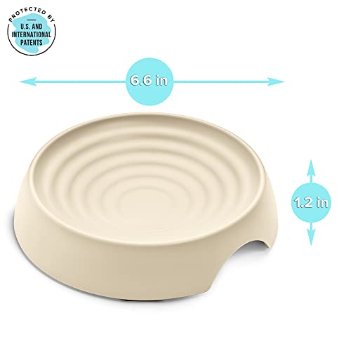 CatGuru Cat Bowls, Whisker Friendly Food Bowl for Indoor Cats, Reliefs Whisker Fatigue, Wide Kitten Dish, Non Slip Pet Dishes, Shallow Pet Plates (Sand, (Pack of 2)) - color: Sand, size: Dish - Set of Two