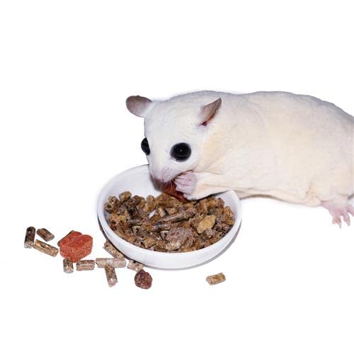 Exotic Nutrition Sugar Glider Complete Deluxe Food Starter Package - Nutritionally Complete Pellet Diet & High Protein Supplemental Food for Sugar Gliders… (3 Piece Set) - size: 1 Count (Pack of 3)