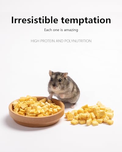 Niteangel Hamster Snack Treat Toy: Freeze-Dried Pumpkin & No Additive | Delivers Essential Vitamins & Minerals- Small Animal Natural Treat for Dwarf Syrian Hamsters Gerbils Mice Degus or Small Pets