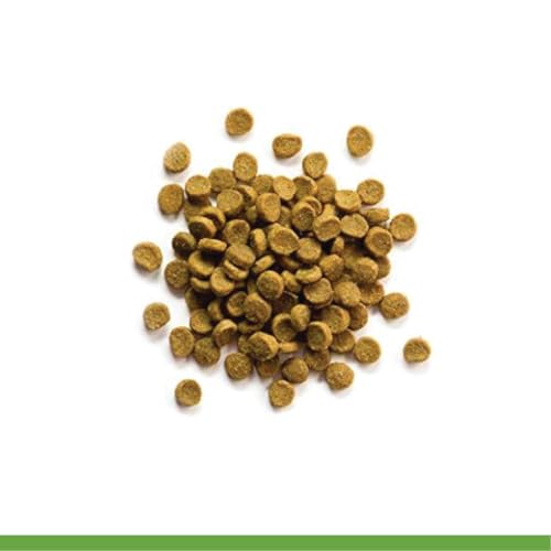 ZuPreem Ferret Food, High Protein Kibble, Complete Food for Ferrets, 8 lb | Ferret Kibble, Healthy Ferret Food, Chicken, Egg, Vitamins, Minerals, Digestive Health, No Corn, Made in USA
