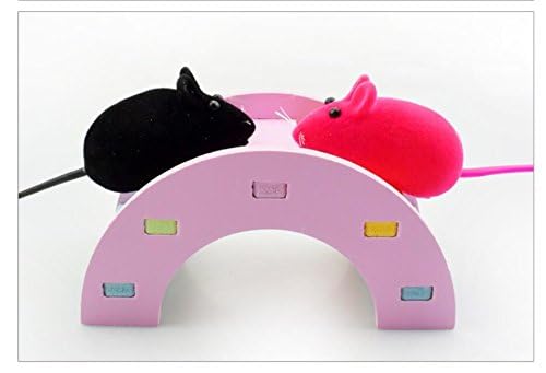 Hamster Toy Rainbow Bridge Seesaw - Small Pet Animals Wood Bridge Climb Playground Gift for Dwarf Syrian Hamsters Mice Rat (Pink) - color: Pink