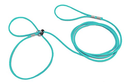 Mini Pig Harness & Leash -Adjustable- 12' in Length -Also fits Pot Bellied Pigs and Other Animals - Ferrets, Rabbits, Dogs, Cats (Teal) - color: Teal