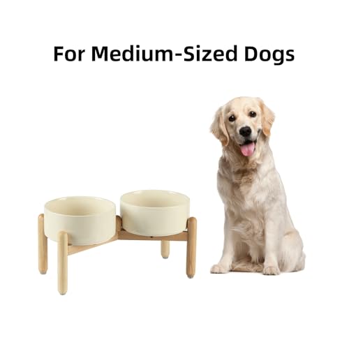 Havniva Elevated Dog Bowls Ceramic Dog Bowls with Stand, Dog Food Bowl | 7.3” Raised Dog Bowls with Non-Slip Wood Stand, Dog Food and Water Bowl Set, Double Dog Feeding Bowls for Medium Dogs - color: 2 Bowls+Stand - Light Yellow, size: 7.3inch