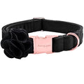 ARING PET Velvet Dog Collars, Black Soft Pet Collar with Detachable Felt Flower Metal Buckle for Puppy Small Medium Large Boy Girl Dogs-XS - color: F-Black, size: X-Small (Pack of 1)