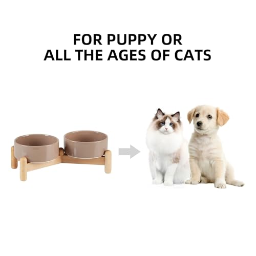 Havniva Elevated Dog Bowls Ceramic Dog Bowls with Stand, Dog Food Bowl | 5.1” Raised Dog Bowls with Non-Slip Wood Stand, Dog Food and Water Bowl Set, Double Dog Feeding Bowls for Small Dogs - color: 2 Bowls+Stand - Brown Coffee, size: 5.1inch