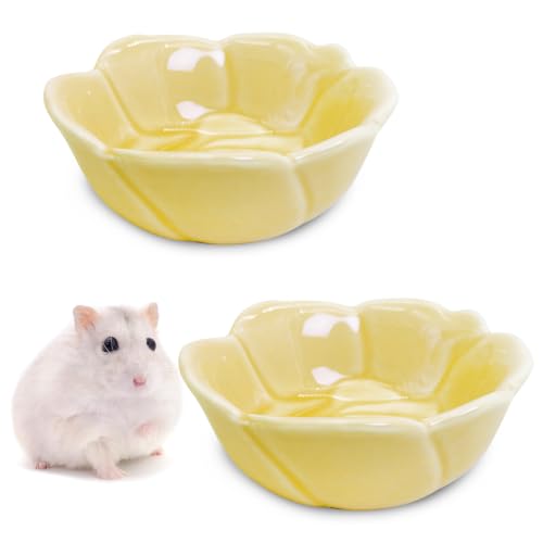 BNOSDM Shallow Ceramic Hamster Food Dish 2 Pcs Small Animals Food Bowl Sunflower Feeding Dishes for Gerbils Mice Rats 4.5in (Dark Green) - color: Yellow