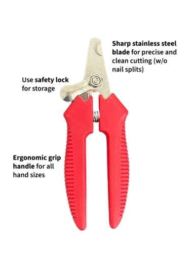 Bird Nail Trimmer, Nail Clippers Parakeet for Small Bird Parrot Cockatiel Parrot, Stainless Steel, erogonmic Grip Handle, Large (Red/Black)