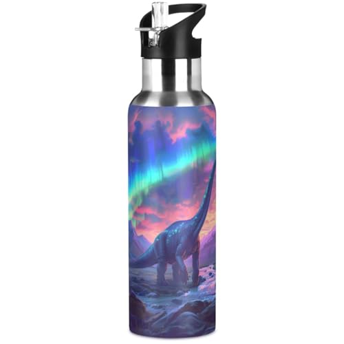 Brachiosaurus Dinosaur Northern Lights Water Bottle Kids Insulated Sports Vacuum Stainless Steel Mug with Straw Lid & Handle 20 oz - color: C1089