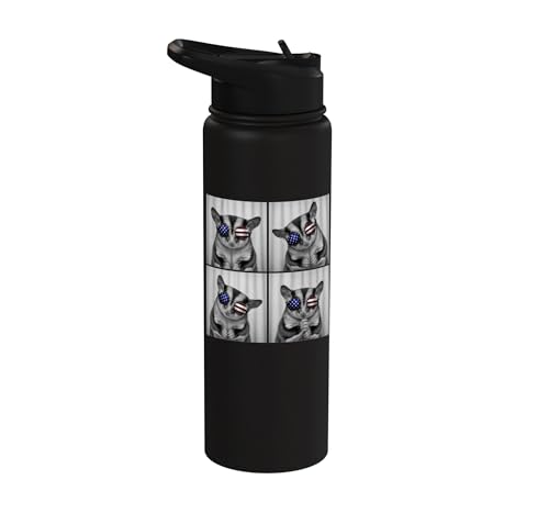 Sugar Glider 4th of July US American Flag Patriotic Stainless Steel Insulated Water Bottle - color: Black