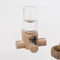 Jumping Spider Water Dispenser, Magnetic Hanging Feeder,Suitable for Jumping Spiders,Tarantulas, Praying Mantises,Arboreal Animals, and Other Small Animal Enclosure Accessories,5ML (Wooden) - color: Wooden
