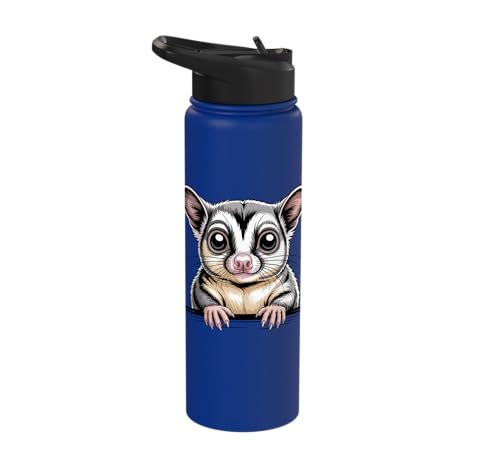 Sugar Glider Cute Peeking Marsupial Funny Animals Stainless Steel Insulated Water Bottle - color: Royal Blue