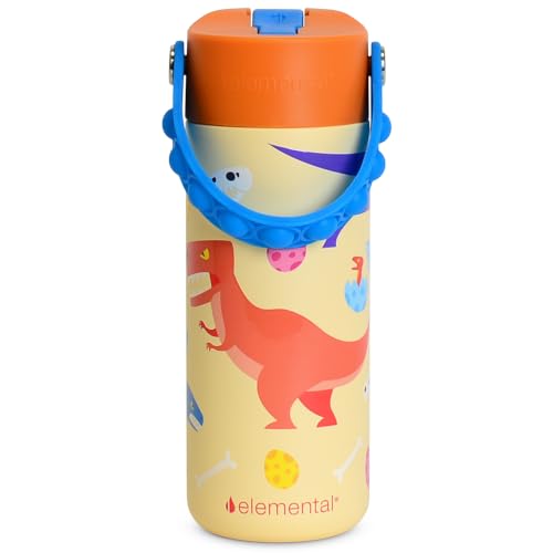 Elemental Insulated Kids Water Bottle, Stainless Steel Water Bottle with Straw Lid & Pop-It Handle, Leak-Proof Water Bottles for School, Boys or Girls, Travelling and Sports, 18oz - Dino Rage - color: Dino Rage