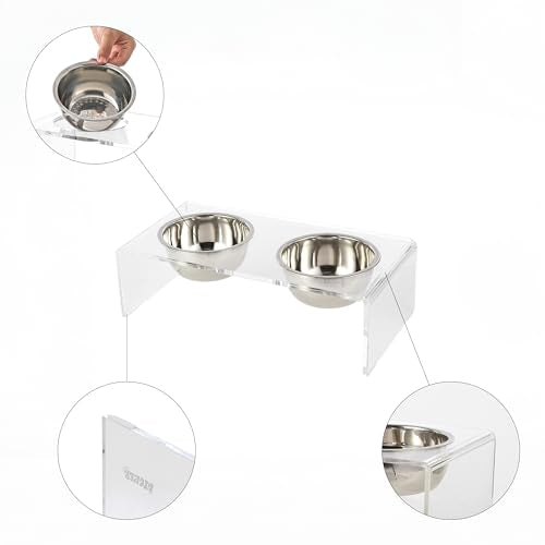 DBL2000A Keaton 5" Small/Medium Modern Lucite Rectangular Elevated Pet Feeder with 20oz 2-Stainless Steel Bowls, Clear/Chrome - color: Clear/Chrome, size: 20 Ounces (5" Cups 2-Pack)