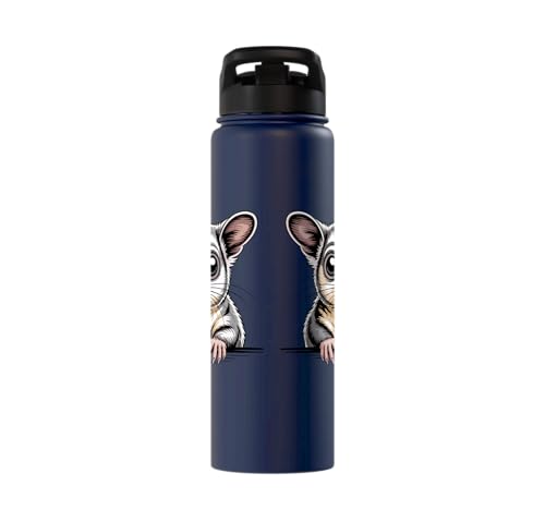 Sugar Glider Cute Peeking Marsupial Funny Animals Stainless Steel Insulated Water Bottle - color: Navy Blue