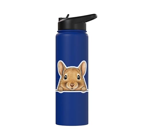 Peeking Degu Stainless Steel Insulated Water Bottle - color: Royal Blue