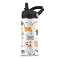Cute Water Bottle with Straw Lid, 16 oz Cat Water Bottle, Cat Gifts | Stainless Steel Insulated Tumbler, Cute Cats Birthday Cups Gifts for Boys Girls Cats Lovers - color: Cats