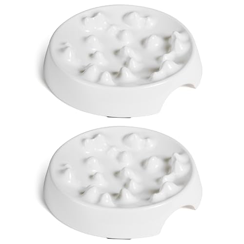 CatGuru Whisker-Friendly Slow Feeder Cat Bowl for Healthy Digestion | Perfect for kittens, adult, and senior cats. Encourages calm, healthy eating habits at every age. - color: Marshmallow, size: Slow Feeder - Set of Two
