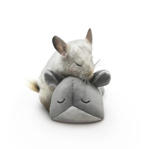 Paw Inspired Chinchilla Cuddler Plush Accessory Toy for Pets, 9 Inch, Gray | Bonding for Chinchillas, Guinea Pigs, Hamsters, Rats, Ferrets, Hedgehogs, Sugar Gliders, Small Animals