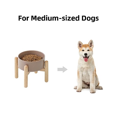 Havniva Elevated Dog Bowls Ceramic Dog Bowls with Stand, Dog Food Bowl | 6.1” Raised Dog Bowls with Non-Slip Wood Stand, Dog Food and Water Bowl Set, Dog Feeding Bowls for Small & Medium Dogs - color: Bowl+Stand - Brown Coffee, size: 6.1inch
