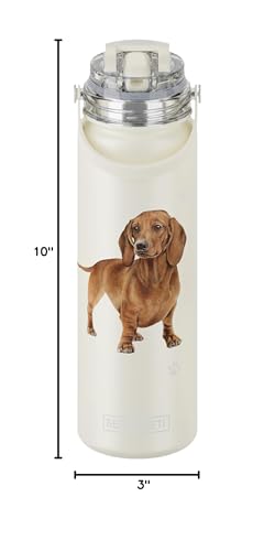 SERENGETI 24 Oz Water Bottle Stainless Steel with Spill Proof Lid - Double walled Vacuum Insulated water flask - Realistic 3D Print of your favorite dog (Dachshund red) - color: Dachshund red