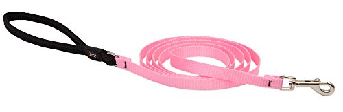 LupinePet Basics 1/2" Pink 6-foot Padded Handle Leash for Small Pets - size: Leash - 1/2"W; 6-Foot