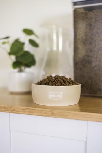 Pearhead Ceramic Cat Bowl, Holds 12 oz, Taupe Meow Design - color: Taupe "Meow", size: Single Bowl