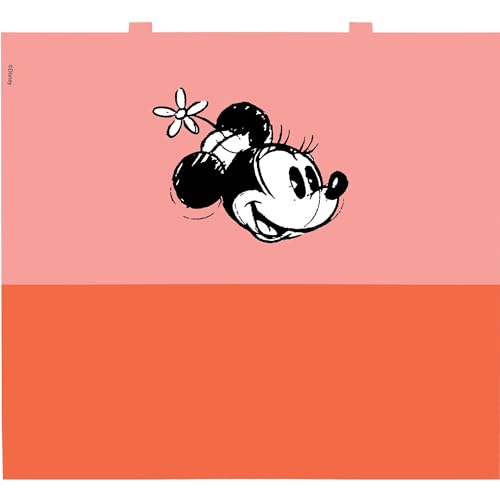 Tervis 24oz Tritan Water Bottle | Disney - Minnie Mouse Model | Made in USA, Leakproof, Double-wall Insulated, Shatterproof, BPA-Free, Dishwasher Safe, Fits Most Cupholders, Gifts under $35 - color: Clear, size: 24 Ounces