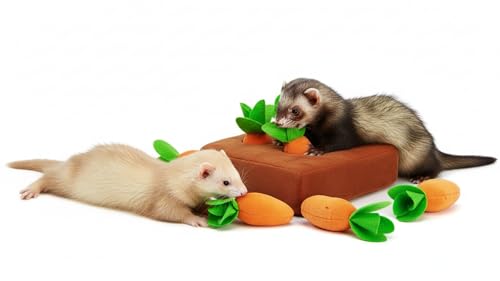 Ferret Foraging Toys Novelty Carrot Snuffle Mat Interactive Pet Treat Enrichment Toys for Small Animals Bunny Rabbit Chinchilla Guinea Pig Hamster (6Carrot) - color: 6Carrot