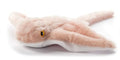 The Petting Zoo Cownose Ray Stuffed Animal Plushie, Gifts for Kids, Wild Onez Babiez Sealife Animals, Stingray Plush Toy, 12 inches - color: Cownose Ray
