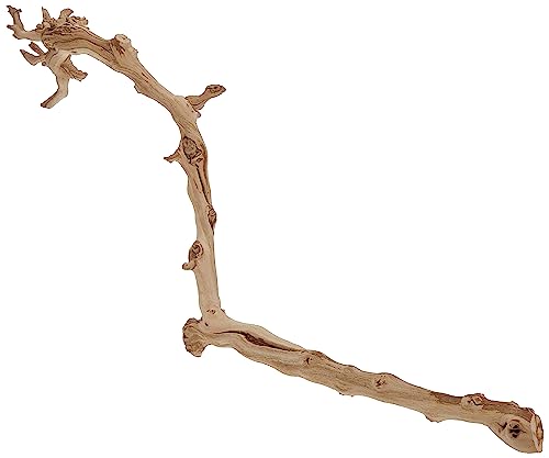 Exo Terra Forest Branch, Large - size: Large