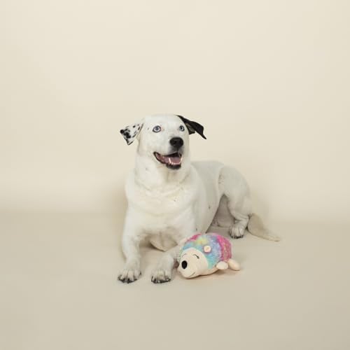 FRINGE STUDIO Rainbow Hedgehog-Plush Dog Toy (289356), Multicolor