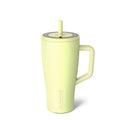 BrüMate Era 30 oz Tumbler with Handle & Straw | 100% Leakproof Insulated Water Bottle Tumbler with Lid & Flexible SoftSip Straw | Made of Stainless Steel | Cup Holder Friendly | 30oz (Prickly Pear) - color: Prickly Pear, size: 30oz