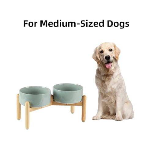 Havniva Elevated Dog Bowls Ceramic Dog Bowls with Stand, Dog Food Bowl | 7.3” Raised Dog Bowls with Non-Slip Wood Stand, Dog Food and Water Bowl Set, Double Dog Feeding Bowls for Medium Dogs - color: 2 Bowls+Stand - Light Green, size: 7.3inch
