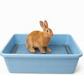 Oncpcare Extra Large Rabbit Litter Box with Metal Grate, Deep Bunny Potty Pan with High Side Wall and Removable Raised Grid for Large Rabbits, Guinea Pigs, Ferrets, Chinchillas(19”x14”x5”, Blue) - size: L (19”x14”x5”)