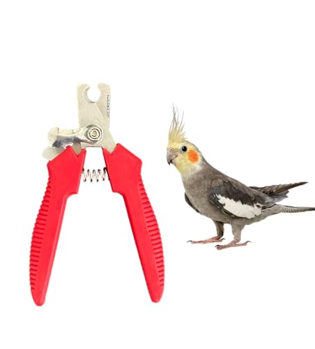 Bird Nail Trimmer, Nail Clippers Parakeet for Small Bird Parrot Cockatiel Parrot, Stainless Steel, erogonmic Grip Handle, Large (Red/Black)