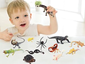 Toymany Reptile Animal Figurine Toys Set, 12 PCS Halloween Desert Amphibians Animal Figures with Komodo Dragon Lizard Snake Chameleon Rainforest Cold Blooded Animals Figures Party Favor for Kids - style: Reptile Animal Figurine